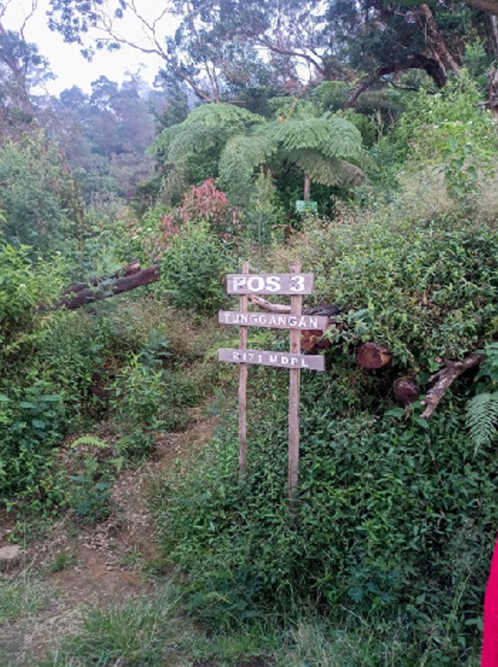 Pos 3 - Jalur Bansari